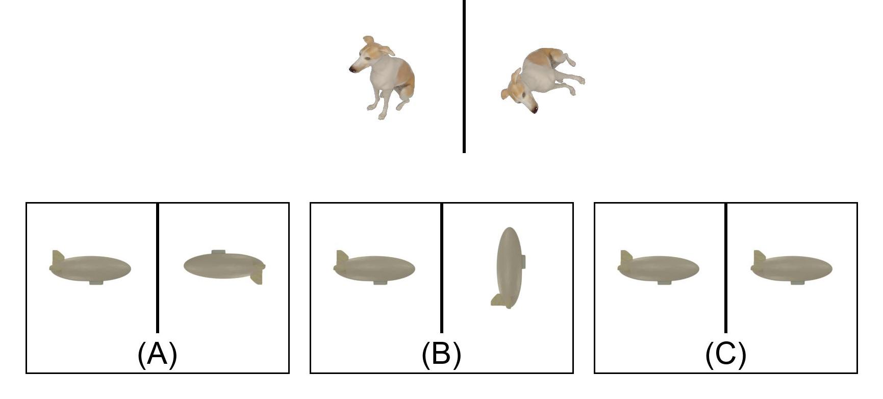 Objects are rotated 90 degrees anticlockwise. Correct: (B).