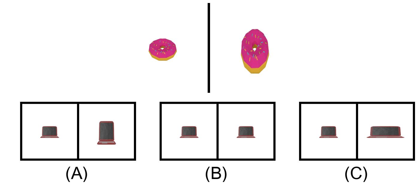 Objects become taller. Correct: (A).